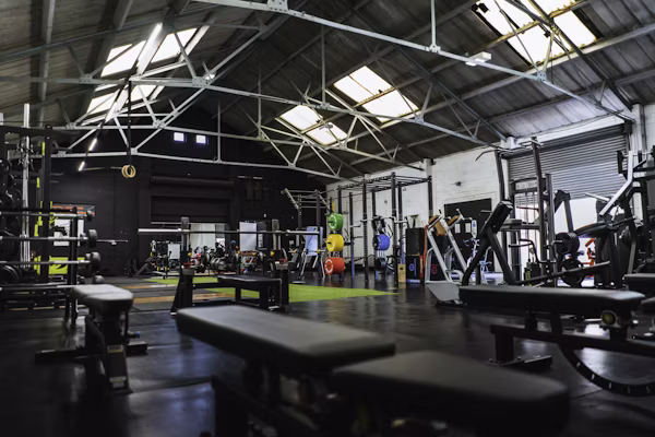 Gym and Fitness Center
